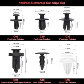 Pack of 100 Car Mounting Clips, Universal Door Trim Clips, Bumper Trim, Mounting Clips, Plastic Clips Set with Disassembly Tool, Release Tool, Car Retainer Kit