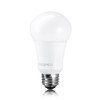 TCP Allusion Series LED A19 60W Replacement (Uses only 9W)