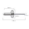 Wensilon(100 pcs) 3/16 * 3/4" Large Cap Open End Stainless