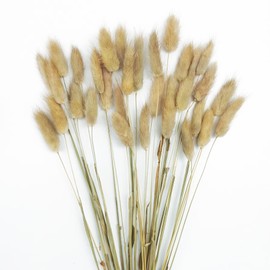 DTXMOH Bunny Tails Dried Flowers 120 Stems, 17“ Dried Lagurus Natural Rabbit Tail Grass Bunch for Vase Fillers, Wedding, DIY Crafts, Rustic Farmhouse Décor