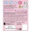 Repair Paper Foundation