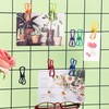 Chip Clips, Utility PVC-Coated Steel Clip for Food Package, Chips