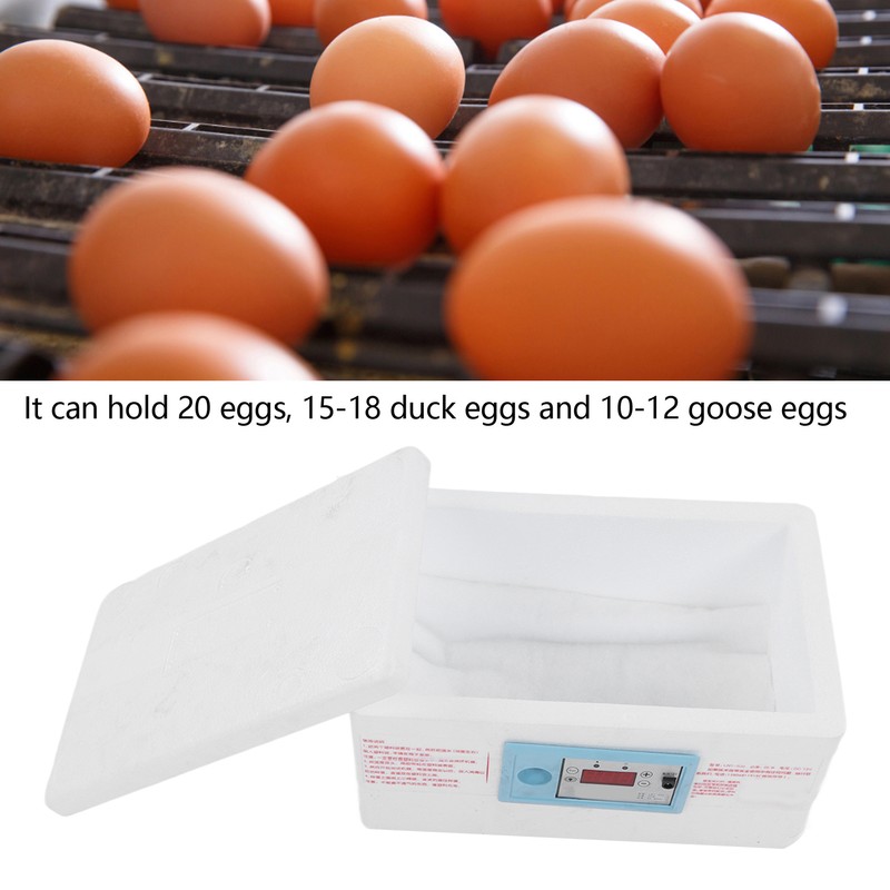 Egg Incubator Small Multifunctional Household Chicken Incubator for Hatching Chick