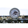 Sea Witch Botanicals Immunity Salve - NEW