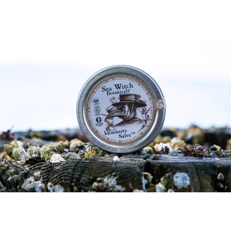 Sea Witch Botanicals Immunity Salve - NEW