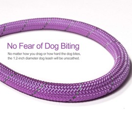 VLDCO 10 FT Strong Dog Leash Extra Heavy Duty Rock Climbing Rope Comfortable Padded Handle Highly Reflective Threads for Small Medium Large Dogs, 1/2 inch Diameter (Purple)