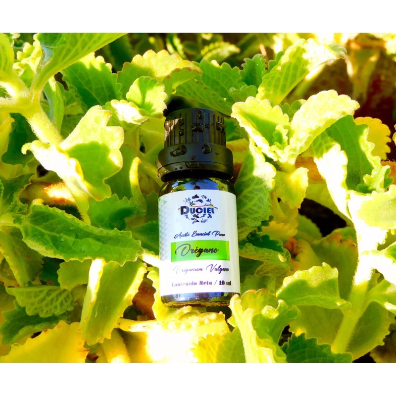 Duciel Aceite Esencial De Orégano 100% Puro Y Orgánico Comestible