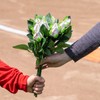 ChalkTalkSPORTS Baseball Rose Bouquet | Half Dozen | Genuine Baseball