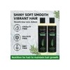 Tgideas Rosemary Hair Growth Shampoo Natural Thicke 8 Stre