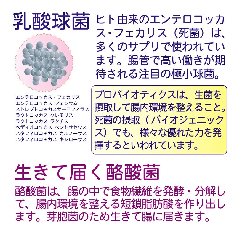 未来菌 乳酸菌 サプリ ビフィズス菌 30種類 5兆個 30日分 有胞子性乳酸菌 オリゴ糖 食物繊維
