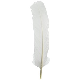 Oboe Cleaning for Large Feathers