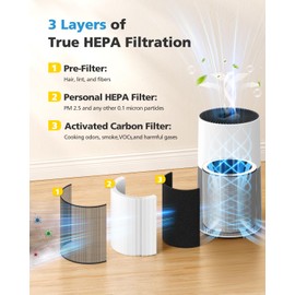 C610 Replacement Filter Z Compatible with Winix C610 Air Purifier, 1712-0121-00, H13 True HEPA Filter, 2 Pack