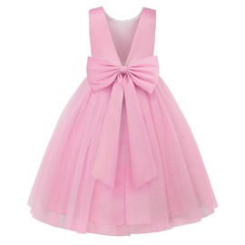 JerrisApparel Flower Girls Dress Wedding Satin Dresses Princess Birthday Party Prom Ball Gown (5T, Pink)