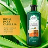 🍃 Herbal Essences Bio :Renew 6X Aloe & Mango –