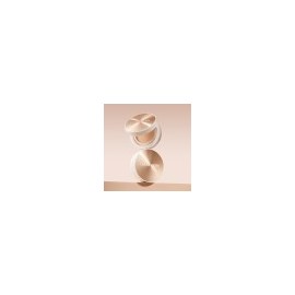 2 types of bibi facts / 초공진 비비 팩트 2종