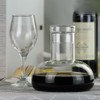 Tamume Wine Aerator Decanter Wine Decanter, Carafe for Wine Champagne