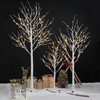 LIGHTSHARE Lighted Tree 6FT 72 LED Lighted Birch Tree for