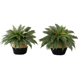 HomeStock 23In. Artificial Country Cottage Fern Plant with Handmade Jute & Cotton Basket DIY Kit (Set of 2)