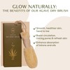 CSM Agave Plant-Based Dry Body Brush: Natural Firm Bristles for