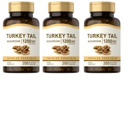 Piping Turkey Tail Mushroom 1200mg 3X200Caps Non-GMO/No Preservatives/