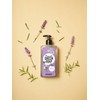 Marcel's Green Soap - Handseife Lavendel & Rosmarin - Spender