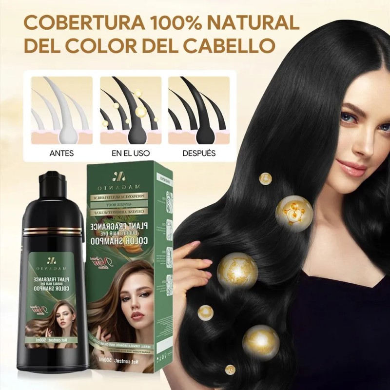 Champú Qiye3 3 En 1 Negro 500ml Kit Profesional Cubre