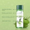 Biotique Green Apple Fresh Daily Purifying Shampoo and Conditioner for