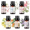AOPING Essential Oil Set 6x10ML - 100% Pure Organic Plant