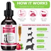 Dog UTI Treatment, Xsvseie Urinary Tract Drops for Dogs Natural