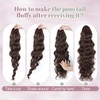 TESS Claw On Ponytail Extension Matte Material 18 Inch/45cm Curly