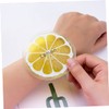 Healeved 12pcs Mini Portable Ice Pack Fruit Pattern Cooling Pads