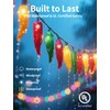 Xingzd 13.6FT Chili Pepper Outdoor String Lights, 35 LED Warm