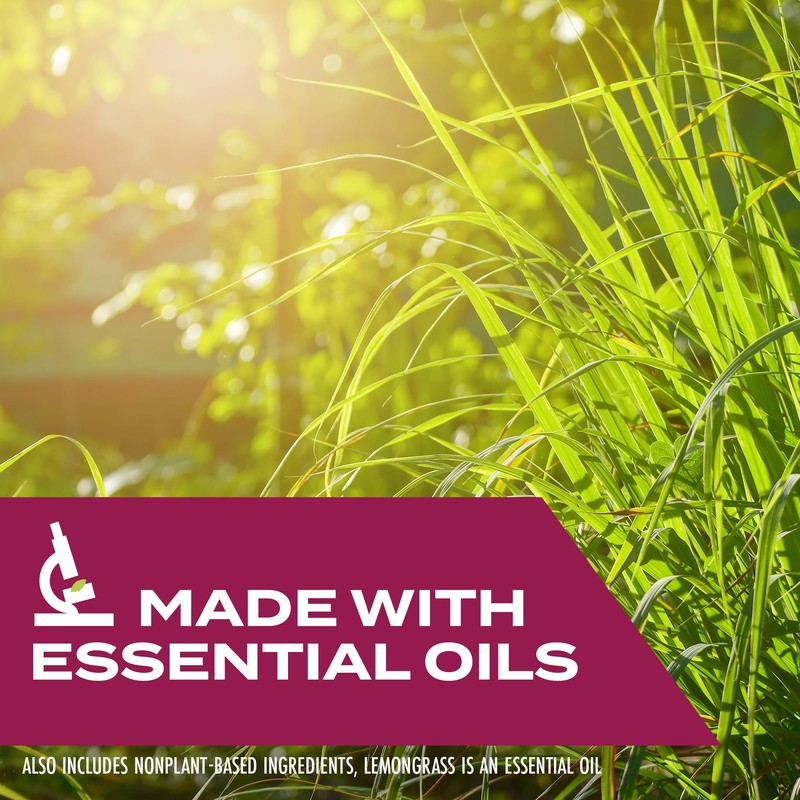 Stem Kills Ants, Roaches And Flies: Plant-Based Active Ingredient Bug