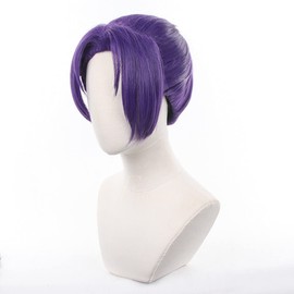Eileen Blue Rock Reio Mikage Wig, Heat Resistant Wig, Anime Wig, Disguise Wig, Cultural Festival