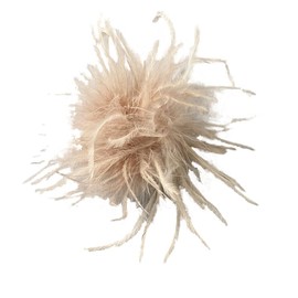 2 Pieces Feather Brooch for Women Girls, Natural Ostrich Feather Pin Brooch Pin Dress Accessories Hair Accessory Fascinators Headpiece for Wedding Party Festival Camel