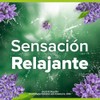 BS PO Naturals Cream w Lavender 4x120gr
