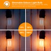 DAYBETTER 16 Pack Vintage LED Edison Bulbs, E26 Led Bulb
