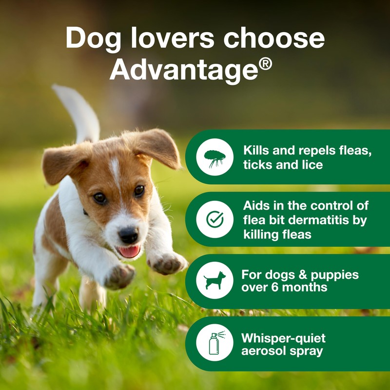 Advantage Dog Flea Treatment Spray | Kills Fleas & Ticks