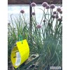 Yellow Sticky Aphid and Whitefly Traps - Pack of 15