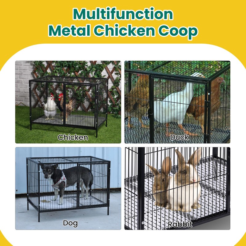 MUDUOBAN Small Chicken Coop with 4-6 Chickens,Outdoor,Predator Proof, Metal
