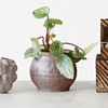 Creative Co-Op Debossed Stoneware Planter with Pattern and Reactive Glaze,