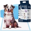 American Kennel Club Scented Puppy Training Pads with Ultra Absorbent