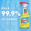Windex Multipurpose Cleaner Disinfectant Spray Bottle, Packaging Designed to Prevent
