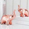 Tibeoyad Set of 2 Ceramic Elephant Ornaments, Desktop Statue, Tiny