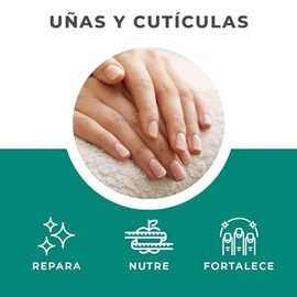 Árbora Kit Pestañas y Cejas Perfectas | Aceite de ricino 100% natural + Contenedor y Aplicador de Rimel | Tratamiento NATURAL para el CRECIMIENTO | Restaura e Hidrata | 90ml