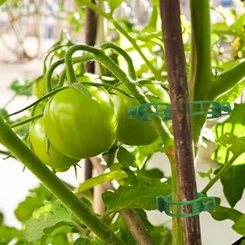 Pack of 130 Plant Benders, Plant Clips for Climbing Plants, Plant Clips, Plant Trainer for Low Load, Plant Clips for Support Securing