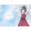 Magia Record Puella Magi Madoka Magica Side Story: Clear File