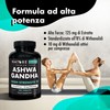 Nature Diet Ashwagandha High Strength PLUS, 125 mg Estratto