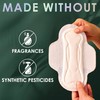 L. Ultra Thin Pads for Women, Super Absorbency, Organic Cotton