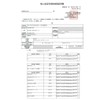 Meisei Disposable Gloves, Stretch Gloves, Elastomer, Poly Gloves (TPE), Medium,